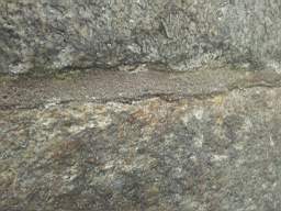 sandymount tower-15095.jpg